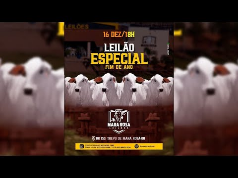 MARA ROSA LEILÕES - GOIÁS - LEILÃO ESPECIAL FIM DE ANO 16/12/2025