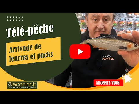 TV Angeln 20/11/2025