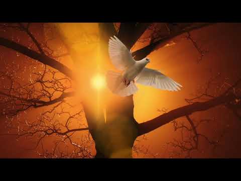 22. Impuls zur Woche - Evang. Kirchengemeinde DO-Scharnhorst - KW 26/2021