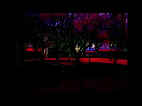 La fève/S-tee/Dundy type beat~ Stalagtite