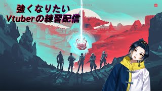 【ヴァロラント】新人Vtuberの練習ヴァロラント！　お話したいお時間です！【コメント大歓迎】【雑談】