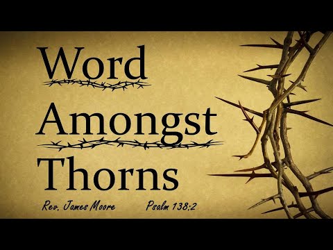 The Word Amongst Thorns