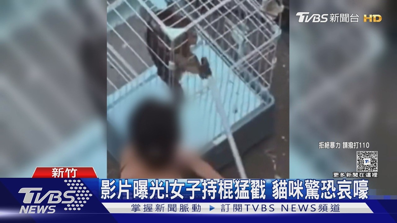 影音／痛心畫面曝！新竹男女狠心虐貓「鎖鐵籠木棍猛戳」　網友拳頭硬了