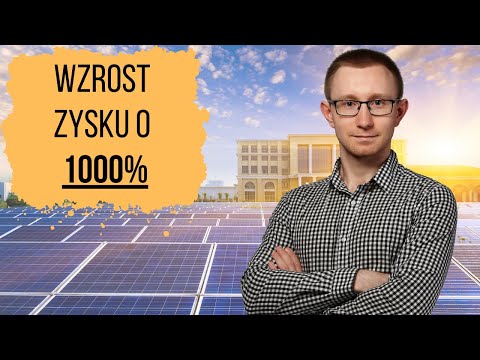BeeIN powtórzy sukces Sunexu? To bardzo możliwe!