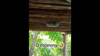 Download lagu latto latto kejepit😂😂😂 #videolucu #funny #tahantawapalinglucu #comedy #tahantawalucu #ngakak mp3