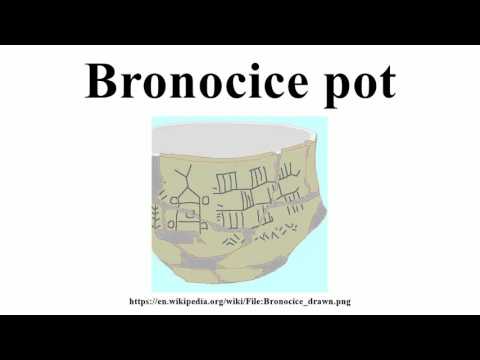 Bronocice pot