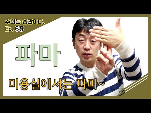 「가발」의 한국수어 표현