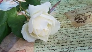 The Oldest Love Letter....Poetry by Michael Walsh