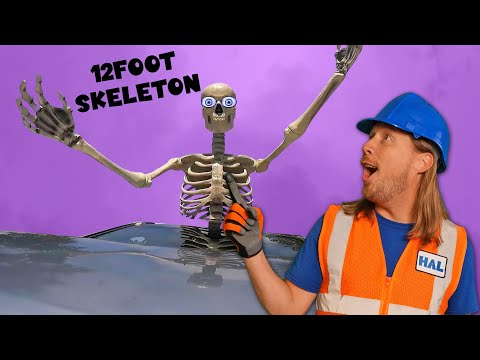 Handyman Hal Halloween | Halloween Fun 12 foot Skeleton | Handyman Hal Fun Videos for Kids