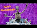 Handyman Hal Halloween | Halloween Fun 12 foot Skeleton | Handyman Hal Fun Videos for Kids