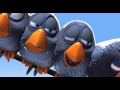 Funny Birds   Animated Short Film