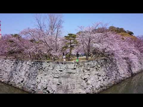 徳島中央公園／Tokushima Central Park