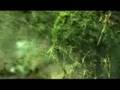 Kristin Hersh - In Shock