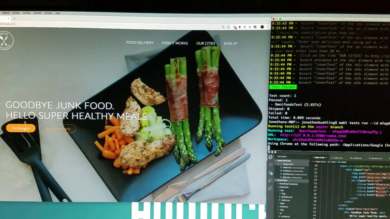Mabl CLI user demonstration with Visual Studio Code and iTerm