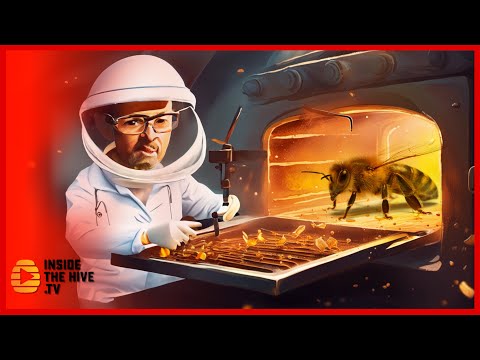 COOKING Honey Bees to SAVE them?