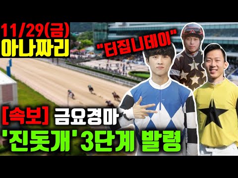 11/29 금요경마 아나짜리 폭설 처럼 쏟아질 배당/믿을 인기마 없는 하루