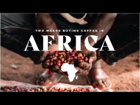 Coffee Adventure Film in East Africa | 2 Weeks in Ethiopia and Kenya buying KILLER coffees!