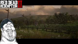 【レッド・デッド・リデンプション 2】#6 馬をカスタマイズ！ 【RED DEAD REDEMPTIONⅡ PS4 実況プレイ 生放送】