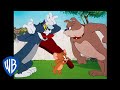 Tom Jerry Tom And Jerry New Ep In Hindi