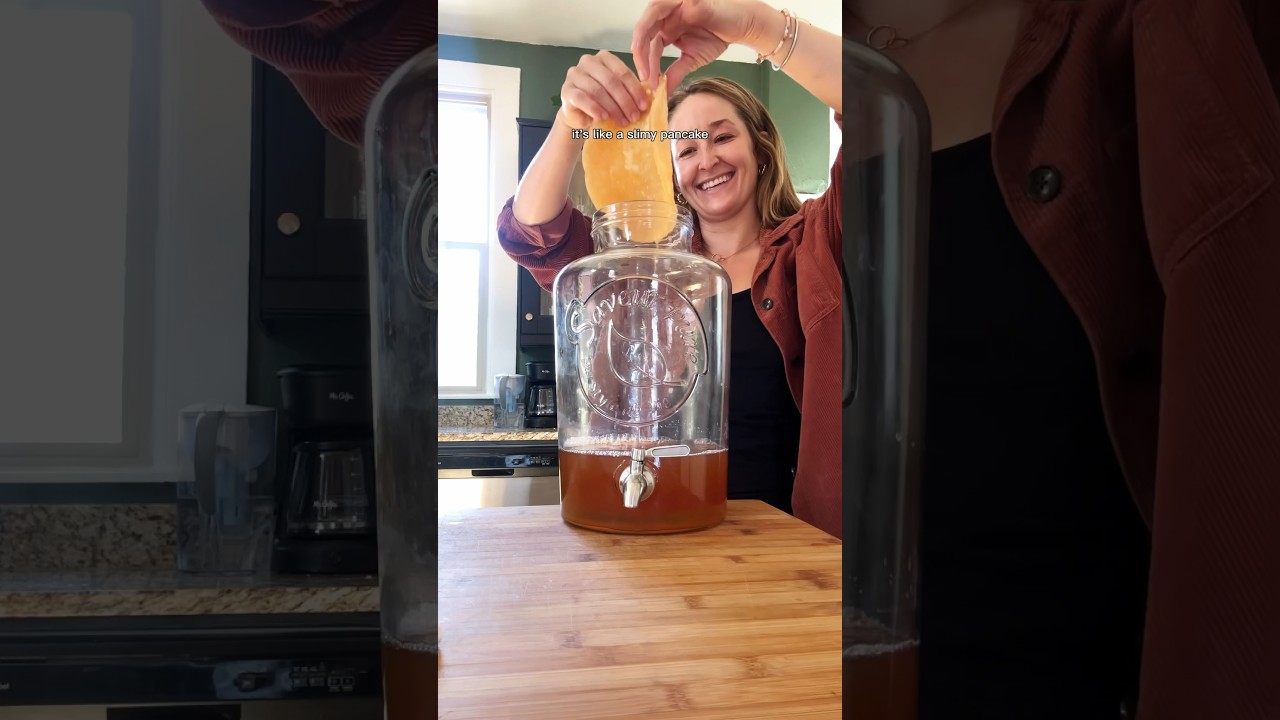 How To Make Kombucha 🍺 #kombuchabrewing #shorts