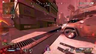 初めてのAPEXカスタム