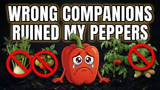 Sweet vs. Spicy Peppers: The Companion Plants That Make the Difference