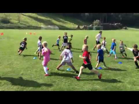 Rychlost s obratností