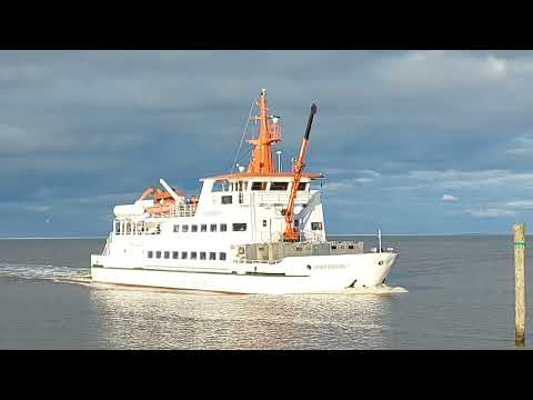 SPIEKEROOG I -  Neuharlingersiel - Horn 🌊😍👍#horn #hornsound #küste #nordsee #fähre #ferry #sunshine