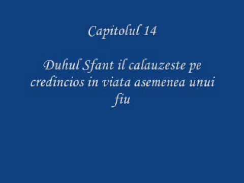 Prezenta si lucrarea Duhului Sfant - A. T. Torrey - cap 14