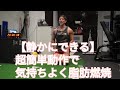 【静かにできる】簡単動作で脂肪燃焼HIIT