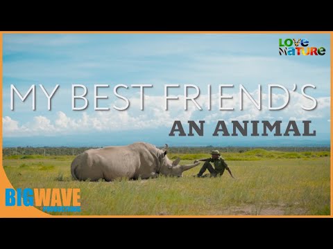 Thumbnail of the video: Official Trailer