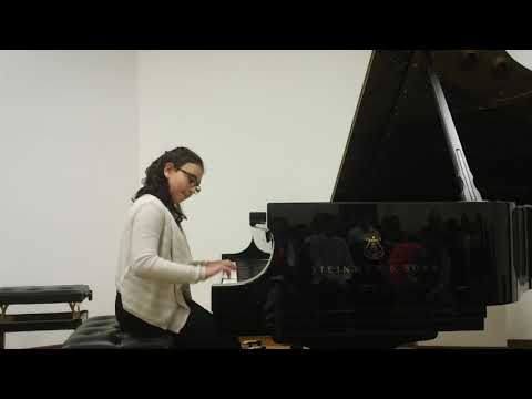 Galloping Stallion by M. Bober - B. Zenaty, age 10