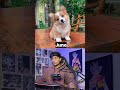 Gift According To Your Birth Month Ytshorts Facts Quiz