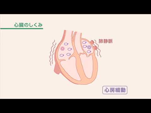 国際医療福祉大学病院　心房細動の病態・治療