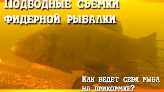Ссылка