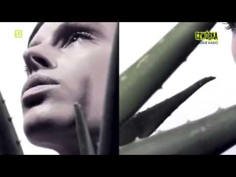 CREAM @ Sentence Showcase (Czwórka Polskie Radio)