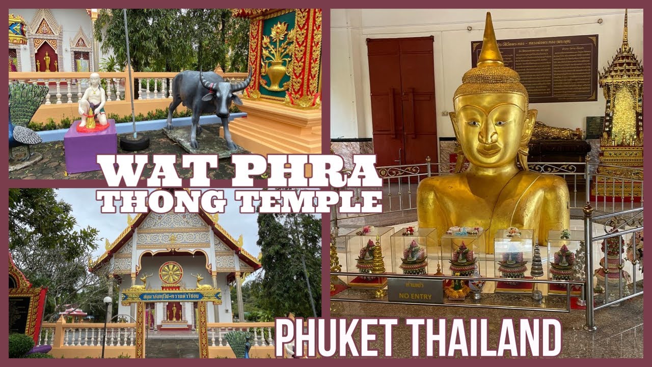 Join a traveler on a thrilling journey to Wat Phra Thong in this captivating video.