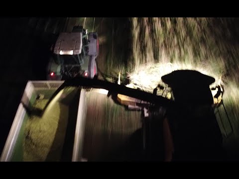 Maisernte 2020 auf dem Neuseggehof