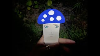 アスラソキノコを見つけるまで帰りません