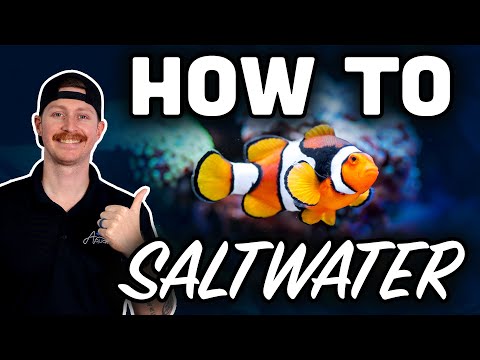 New to Saltwater Aquariums? Watch THIS First!