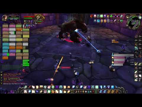 WoW: Classic - Naxx - Gluth