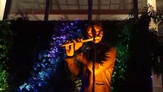 Gardens & Villa - Orange Blossom – Noise Pop Festival 2016, Live in San Francisco