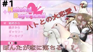 ハトと恋愛？！ぽんた彼氏作ります。