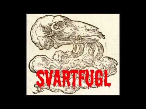 Kött Grá Pje - Svartfugl (Prod. Lord Pusswhip & Vrong)