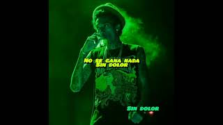 Wiz Khalifa - No Gain (sub español)