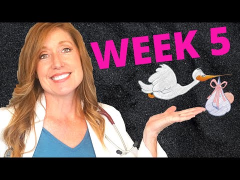 What are 5 week pregnancy symptoms:  PLUS you baby development and your first OB appointment