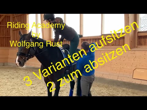 F31 Auf Pferde oder Ponys richtig aufsitzen oder aufsteigen und absitzen oder absteigen.