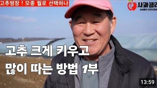 [다수확 고추생산 비결 1부] 고추명장 올해 어떤 품종 선택/ 2월 로터리 치는 이유