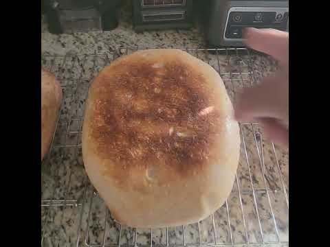 Step 012 - 2 stage bulk fermentation for sourdough  bake completed