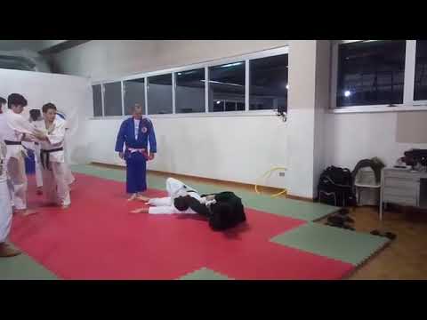 Flying armbar /jumping juji gatame